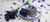 Recipe for raw blueberry cheese cake.