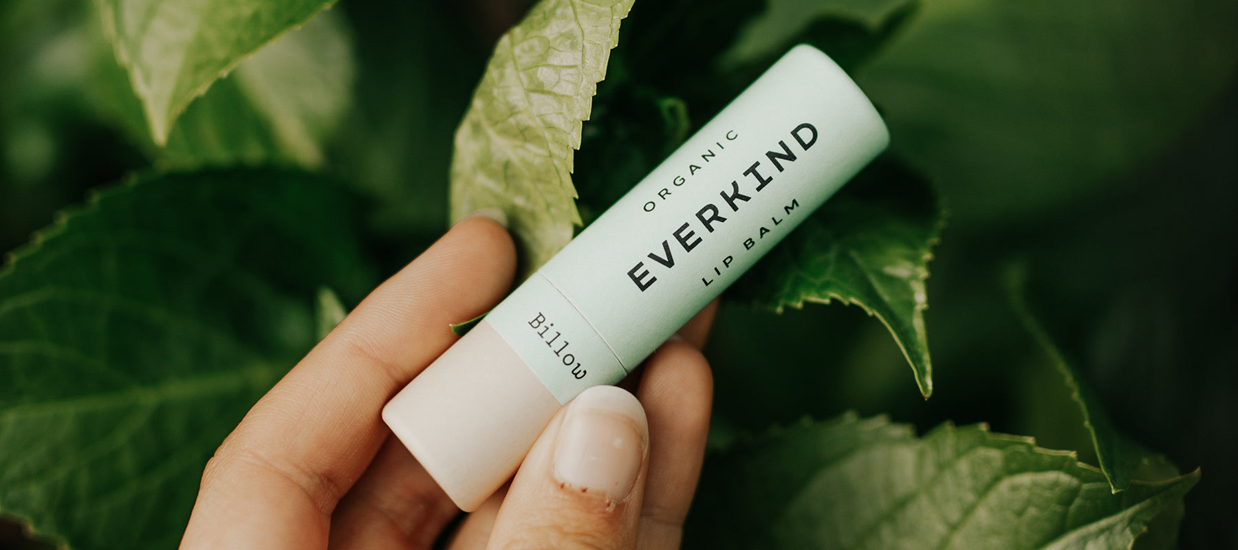 Lip Balm: The Next Generation in Natural